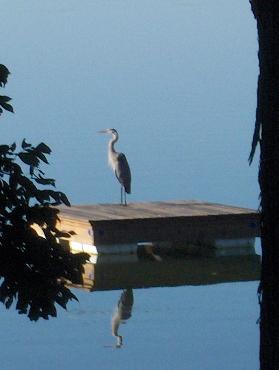 Crane-on-raft-2-8.07
