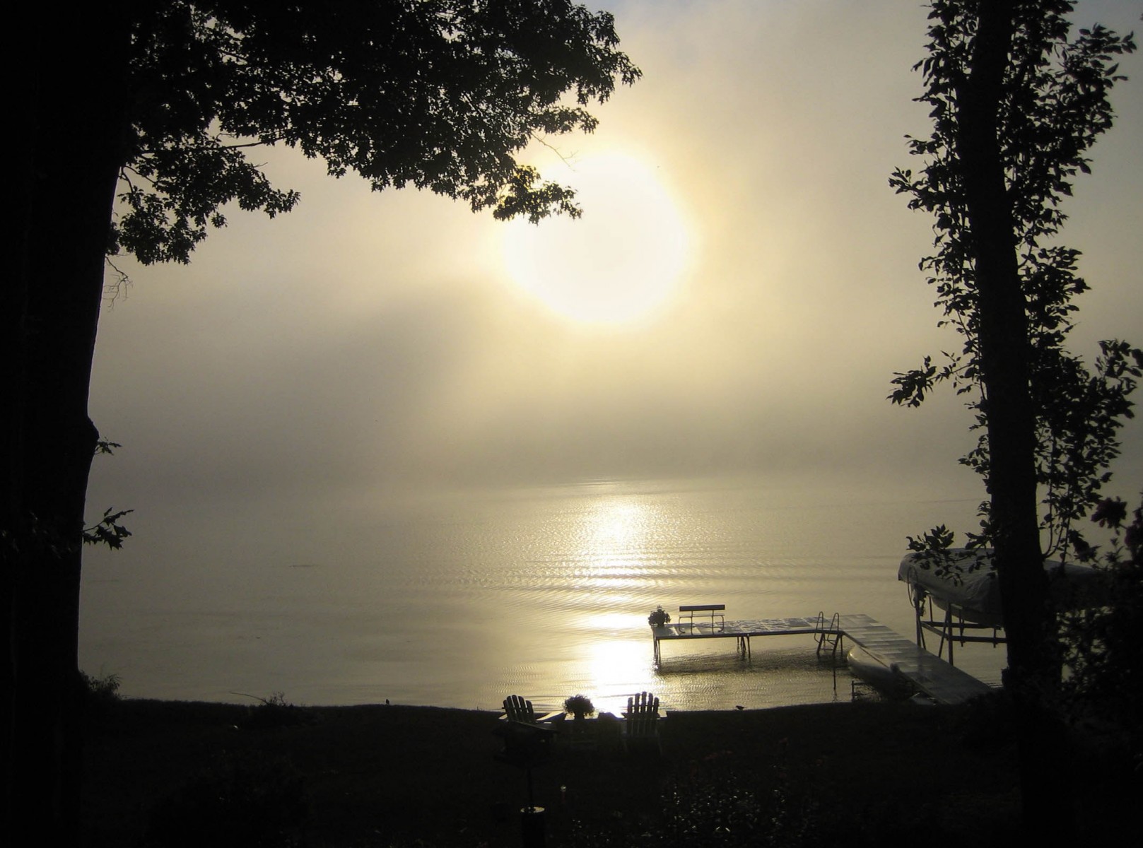 fog